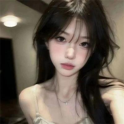 没人瞭波斯猫